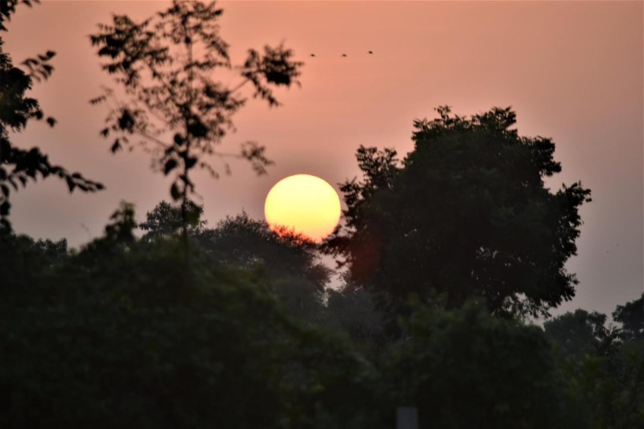Ranthambhore Bagh Dwar Camp Khilchīpur Exterior foto